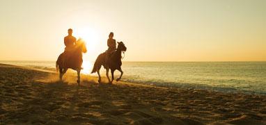 Vista Paraiso Canopy + Litibu Beach Horseback Riding