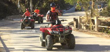 South Bay Jungle ATV + Canopy Indio