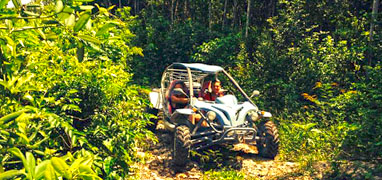 Mayan Jungle Cenote Swim & Off-Road Adventure