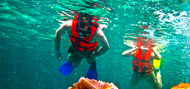 Riviera Maya Snorkeling Excursions