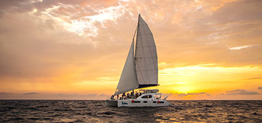 Luxury Catamaran Sunset Sail