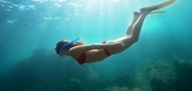 Snorkel en Islas Marietas & Excursión Ecológica de Aves Marinas