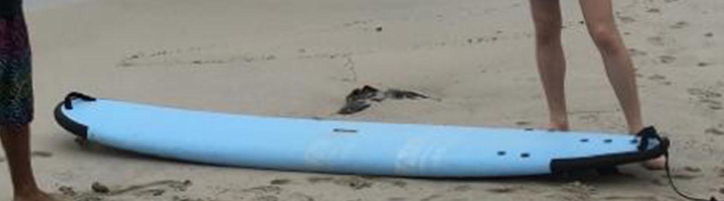 Renta de Stand-Up Paddle Board & Beach Break en Playa Camarones 5