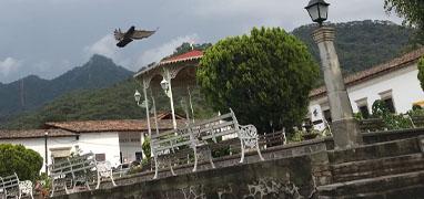 Avistamiento de Aves en San Sebastián & Excursión Cultural Colonial