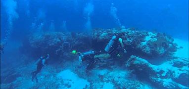 Excursión de Buceo en Majahuitas & Los Arcos Puerto Vallarta