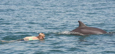 Excursión de Snorkel & Nado con Delfines Salvajes