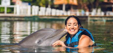 Nado con Delfines Royal Swim + Parque Acuático Aquaventuras